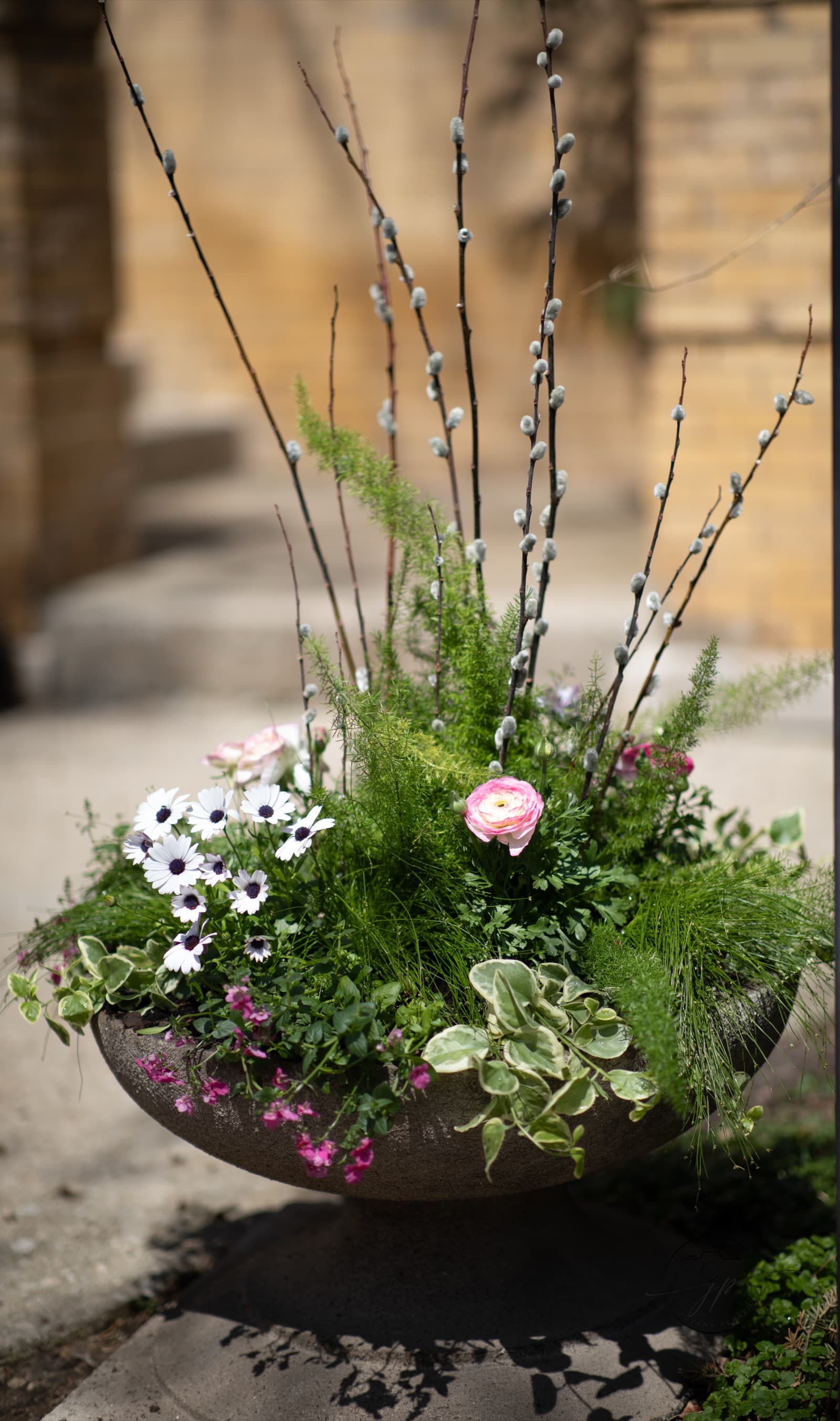 Spring Planter Collection