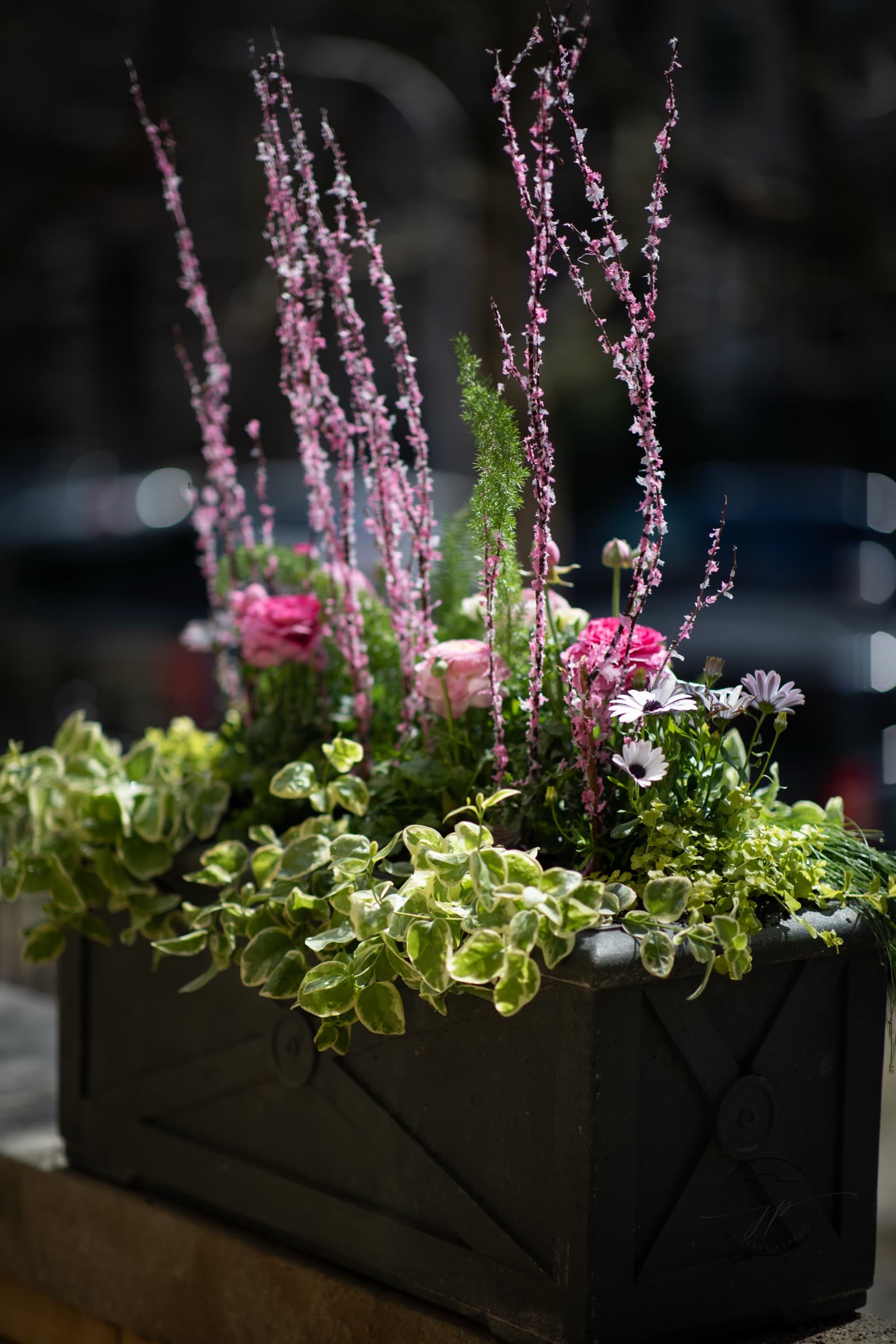 Garden Styling