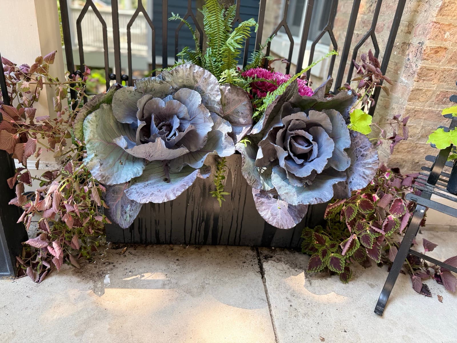 Fall Arrangement