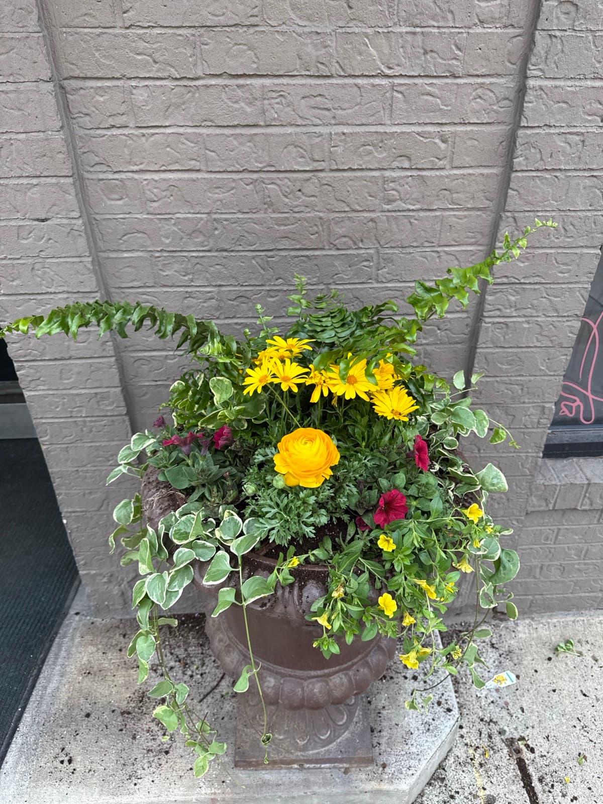 Container Planting